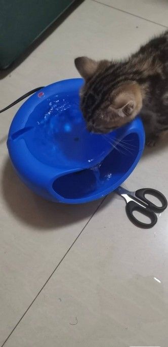 自制猫咪流动饮水机